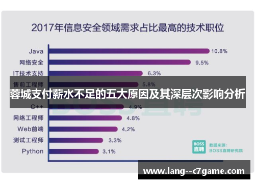蓉城支付薪水不足的五大原因及其深层次影响分析